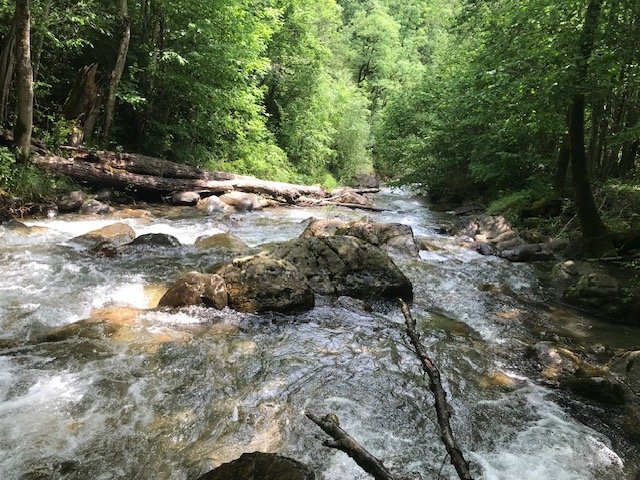 riu de muntanya estiu