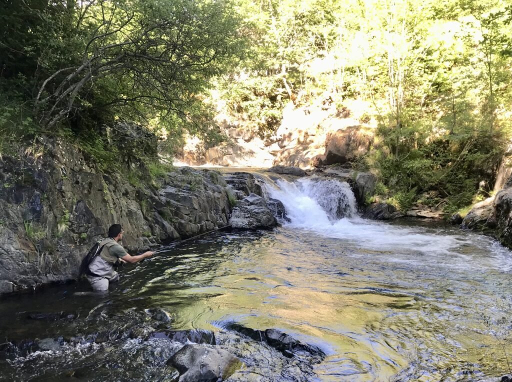pescador mosca noguera pallaresa