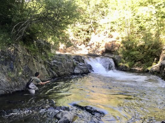pescador mosca noguera pallaresa