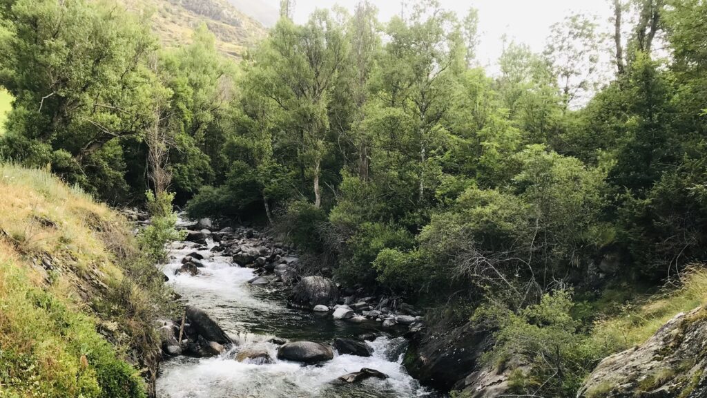 nogura pallaresa ,riu dels pirineus