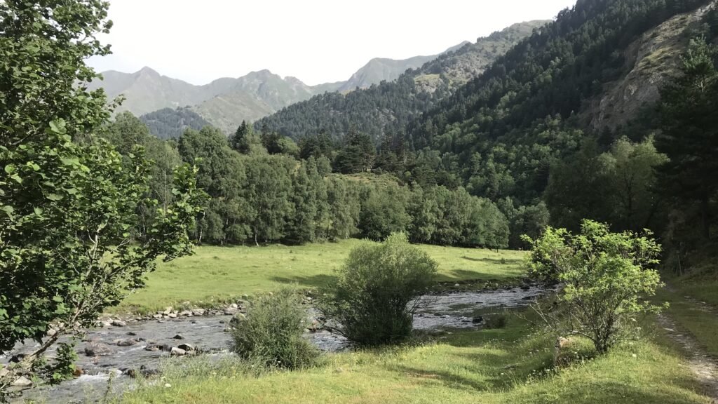 destí de pesca a mosca noguera pallaresa bonabe