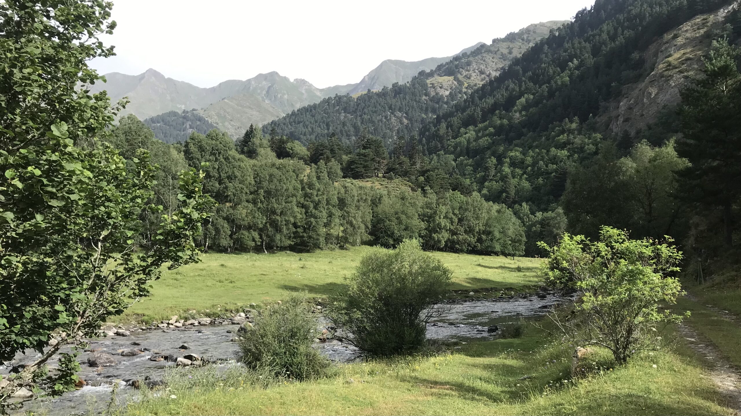destí de pesca a mosca noguera pallaresa bonabe